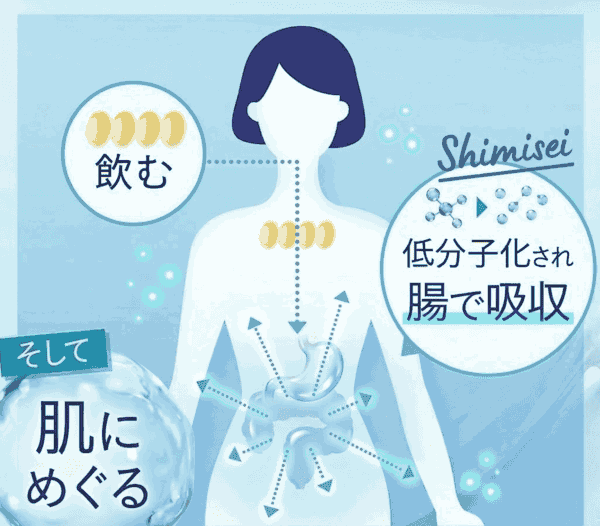 飲むヒアルロン酸の体内めぐり